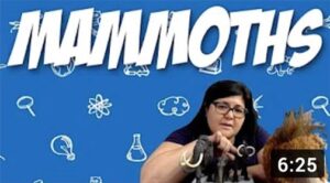 PS Science | Science for Everyone!